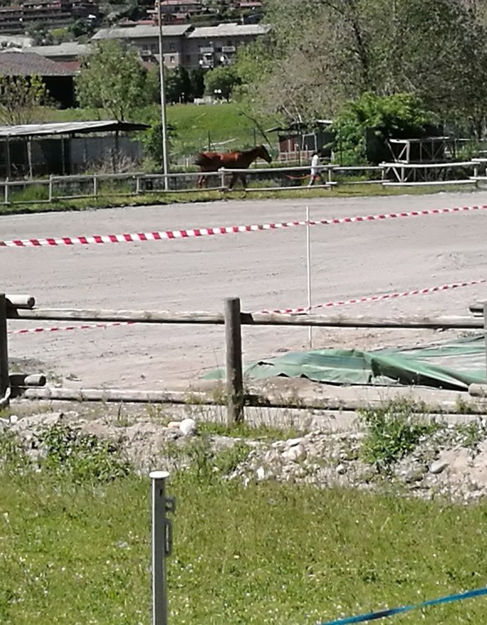Il disastrato maneggio di Aosta