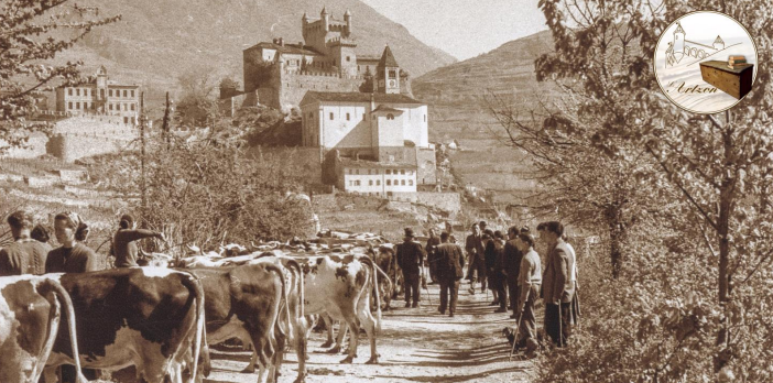 Dal volo dei Castelli alla magia delle Vigne