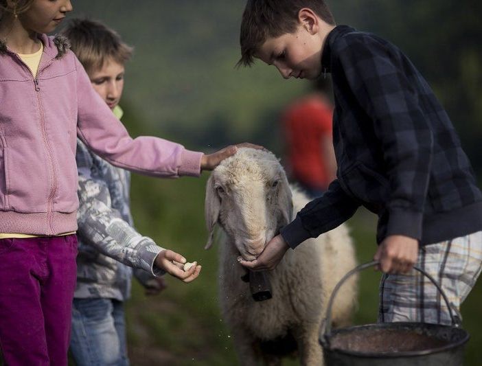 Alla scoperta dell'agricoltura con i percorsi didattici nelle scuole valdostane