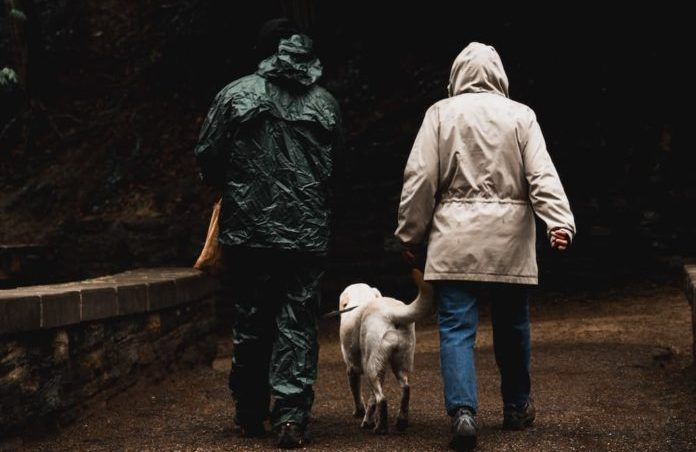 Perché il cane ha paura del temporale e dei lampi?