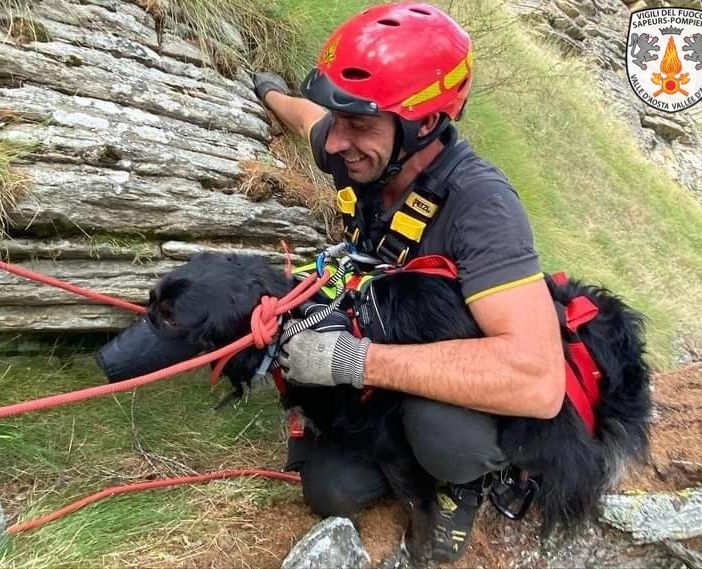 Cane salvato dai vigili del fuoco