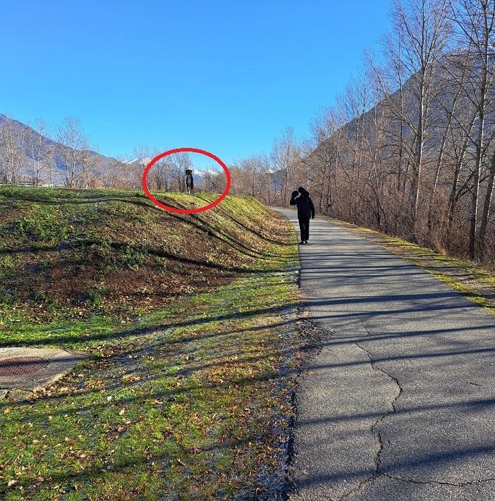 L'OPINIONE DI UNA LETTRICE: DIRITTI E DOVERI CALPESTATI E VILLIPESI MA NESSUNO CONTROLLA