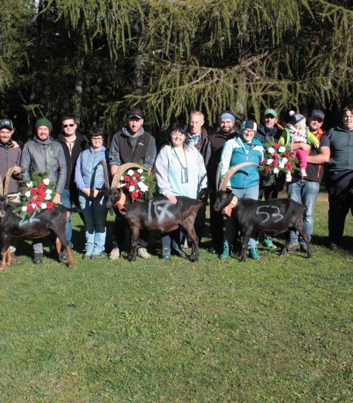 Batailles de chevres: A Challand-Saint-Anselme grande spettacolo