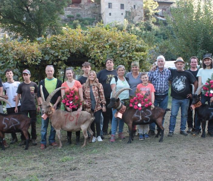 Batailles des chevres: Grande spettacolo ad Arvier
