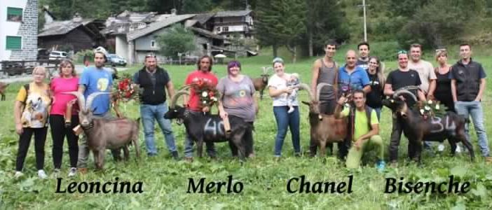 Batailles des Chèvres: Successo dell’amichevole di Valsavarenche