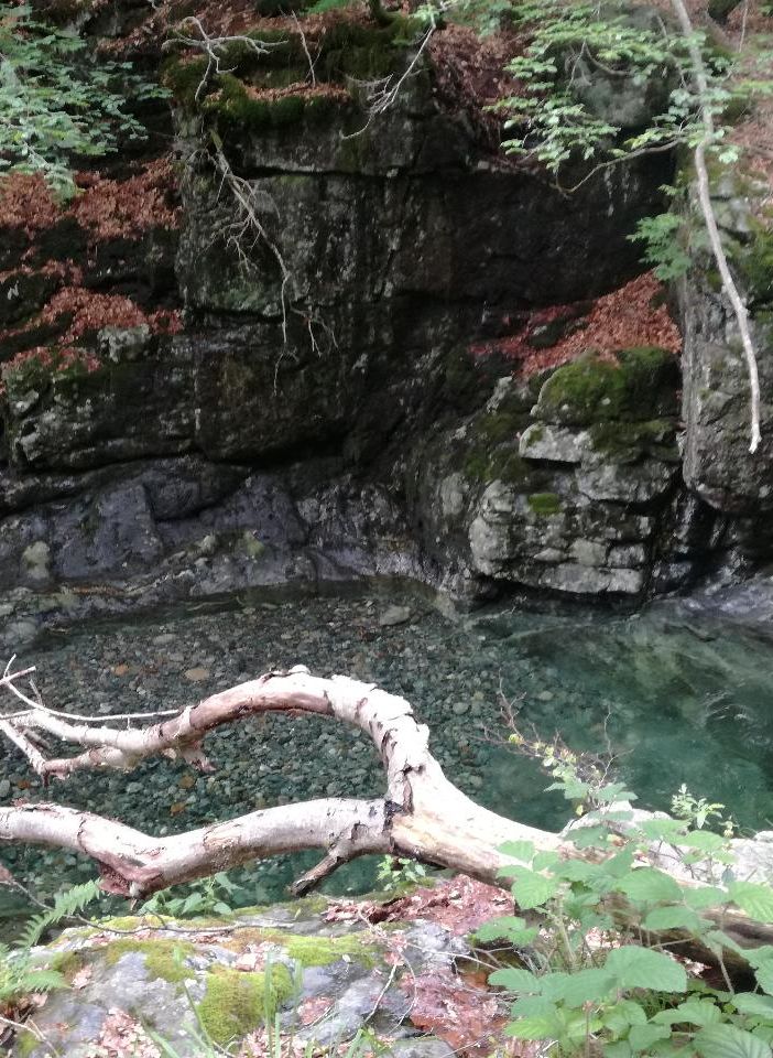 Torrente in Val Grande (ph. F. Ravezzani)