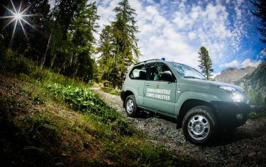 Savt proclama stato di agitazione personale  del corpo forestale
