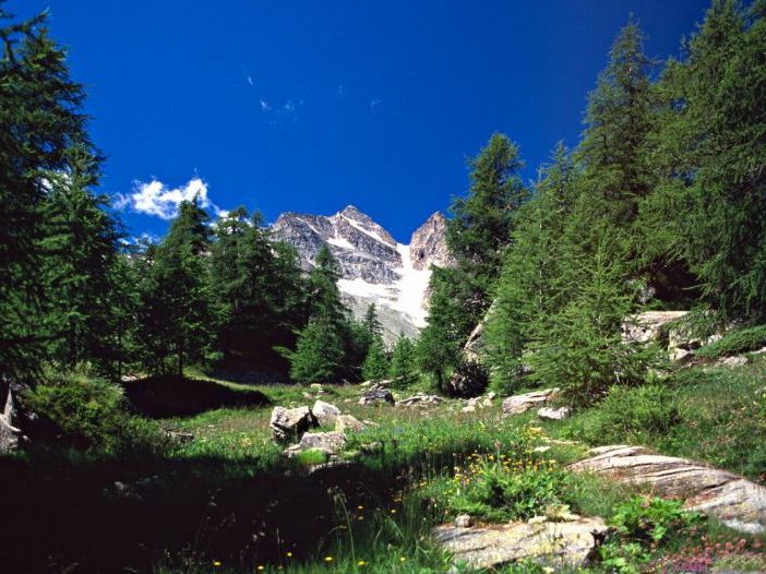 ENVIRONNEMENT: Parc National Grand Paradis dévoile activités en coulisse