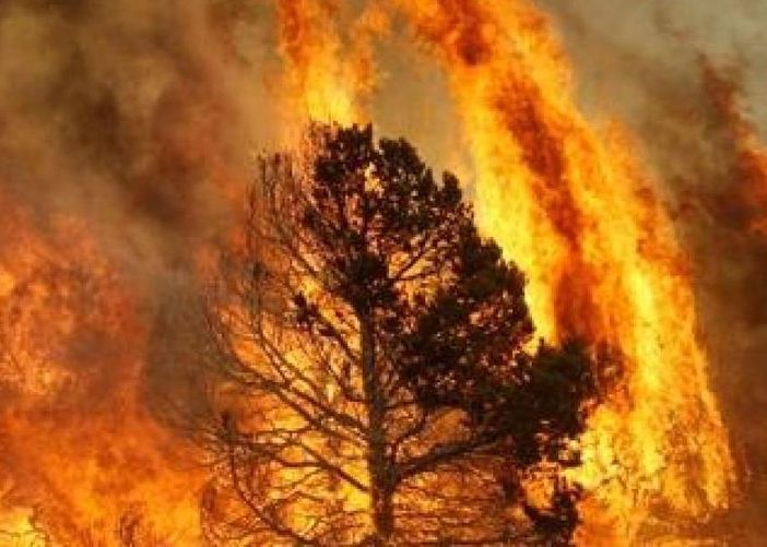Revocato lo stato di eccezionale pericolo di propagazione incendi boschivi
