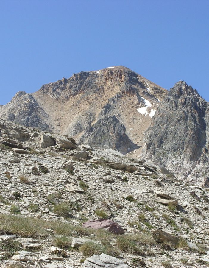 Tête de la Cassille