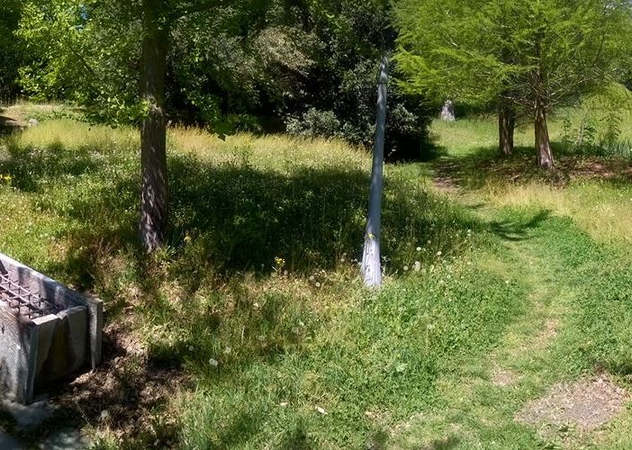 Nella foto di un aostano, il sentiero del parco Saint Ours sembra attraversare un bosco incolto piuttosto che un'area verde comunale