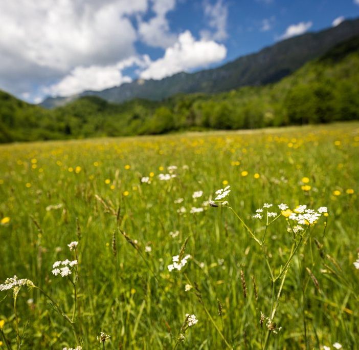 Institut Agricole Régional firma il manifesto per salvare i prati stabili