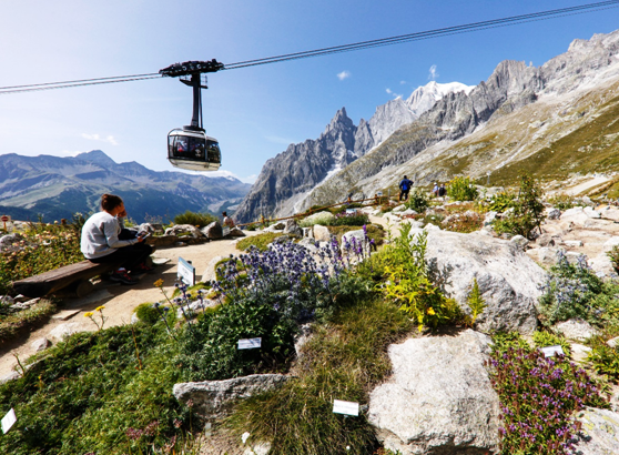 Sulle pendici del Monte Bianco rifiorisce il Giardino Saussurea