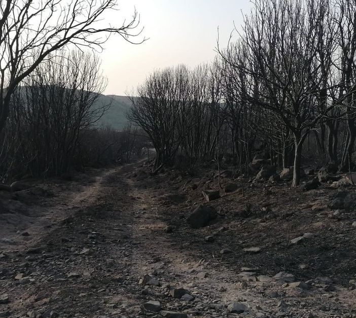 Territorio di Santu Lussurgiu © Giovanna Barracu