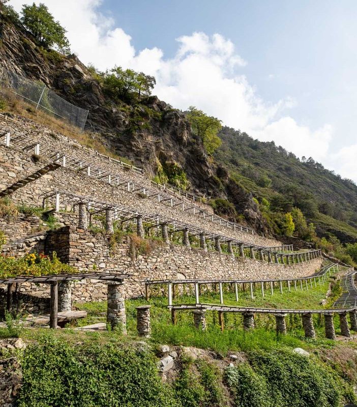 I paesaggi della viticoltura eroica: qualità e biodiversità, due valori di un territorio sostenibile