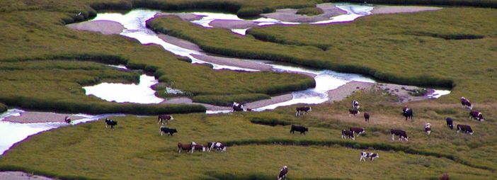 Dal progetto LIFE Pastoralp, un sistema satellitare per mappare i pascoli valdostani