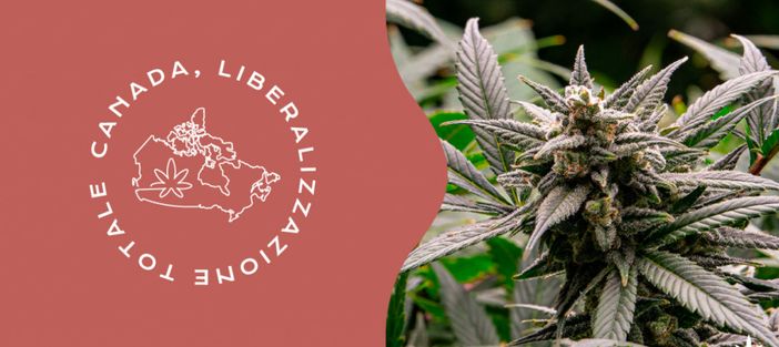 Ad Aosta manifestazione pro liberalizzazione cannabis