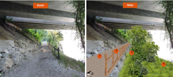 Protection de la faune