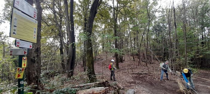 Gli ecovolontari di Avigliana al lavoro sui sentieri (ph. Claudio Ronzoni)