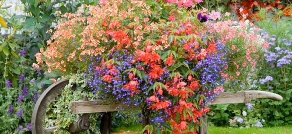 Bella composizione floreale all'aperto. Nella galleria fotografica i bambini alle prese con la realizzazione di un orto scolastico