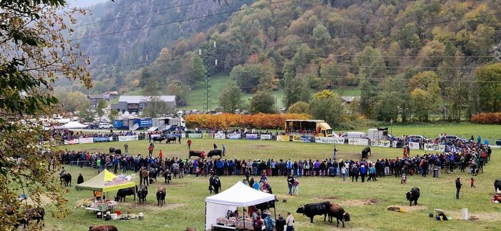 Le regine di Antey pronte alla sfida finale