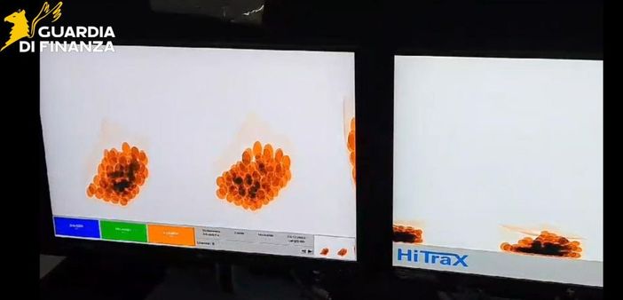 Traffico di eroina a Malpensa, sequestro per 1 milione e 7 arresti Traffico di eroina a Malpensa, sequestro per 1 milione e 7 arresti