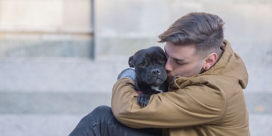 Come rintracciare il proprietario di un cane smarrito Come rintracciare il proprietario di un cane smarrito
