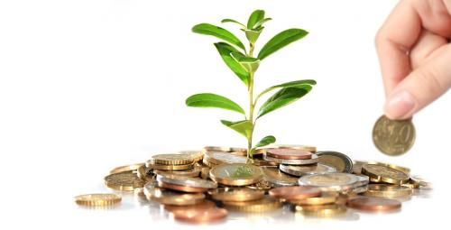 Il 30 settembre prima scadenza domande per aiuti regionali