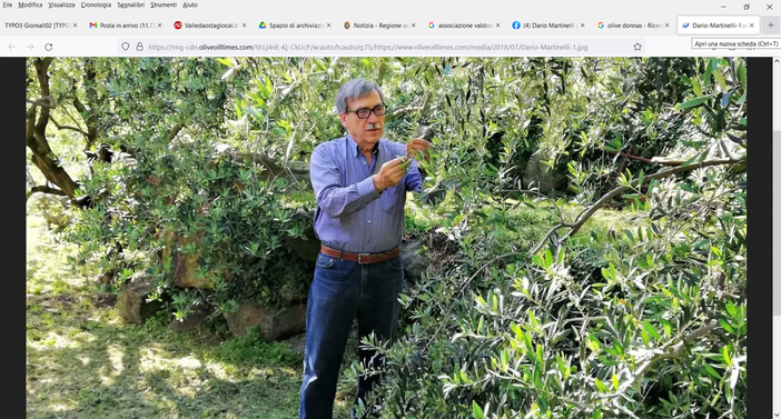 Dario Martinelli Dario Martinelli