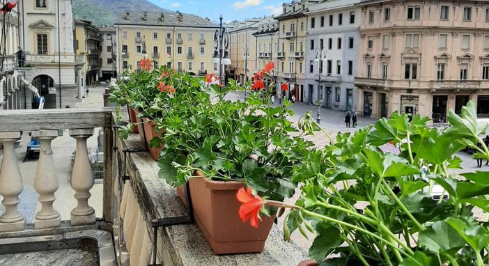 I gerani in piazza Chanoux