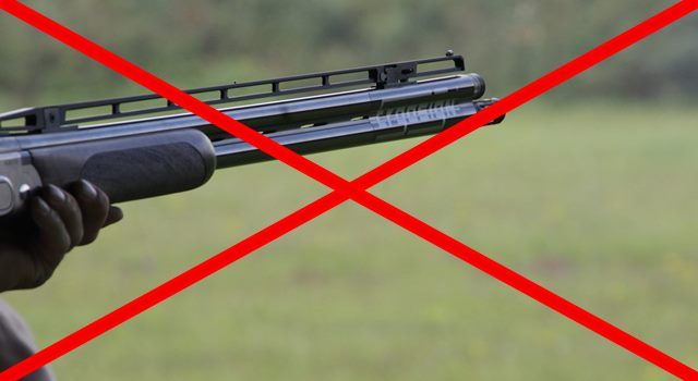 Domenica 19 settembre si apre la caccia ma per le regioni lo stato di calamità non riguarda mai la fauna Domenica 19 settembre si apre la caccia ma per le regioni lo stato di calamità non riguarda mai la fauna