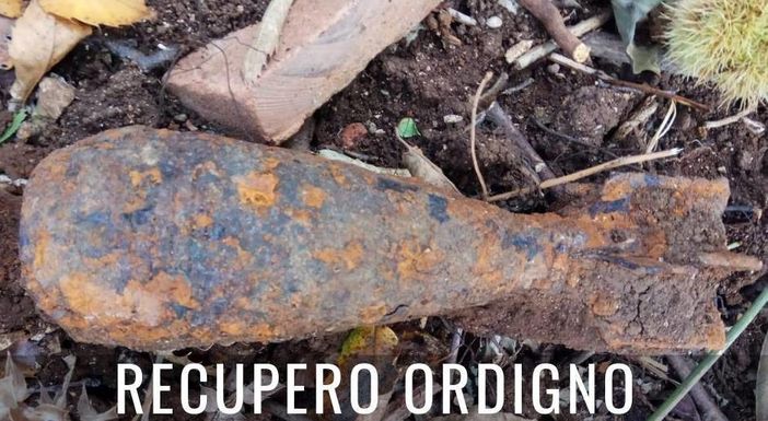 Foto repertorio Foto repertorio