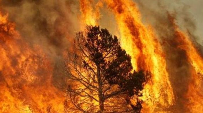 Cessata la situazione di grave pericolo di propagazione degli incendi boschivi Cessata la situazione di grave pericolo di propagazione degli incendi boschivi