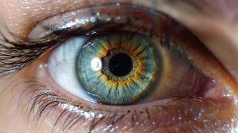 Farmaci, aflibercept 8 mg: nuovi dati confermano efficacia e sostenibilità in maculopatie Farmaci, aflibercept 8 mg: nuovi dati confermano efficacia e sostenibilità in maculopatie