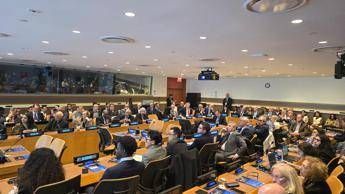 Mafie, 'focus TikTok': Fondazione Magna Grecia presenta uno studio pioniere