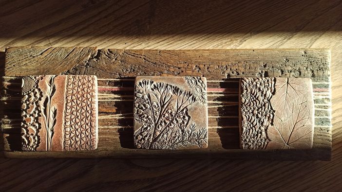 Pont-Saint-Martin ospita l'anteprima della mostra SELVATICA “La bellezza nascosta” di Lara Cavagnino