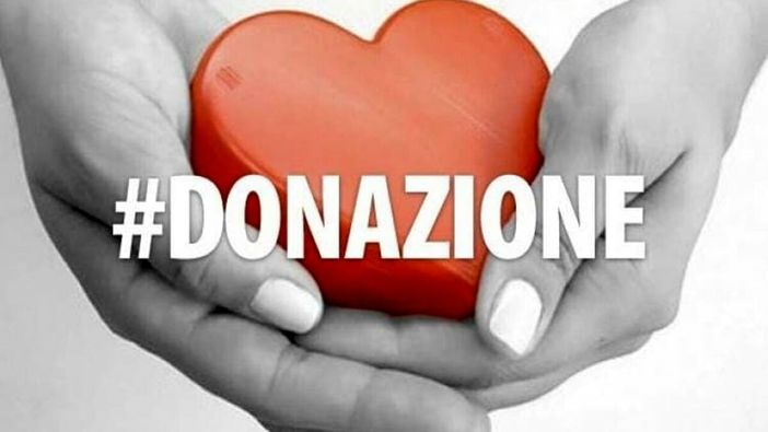 Organi che salvano vite: l’Italia da record e il valore della donazione