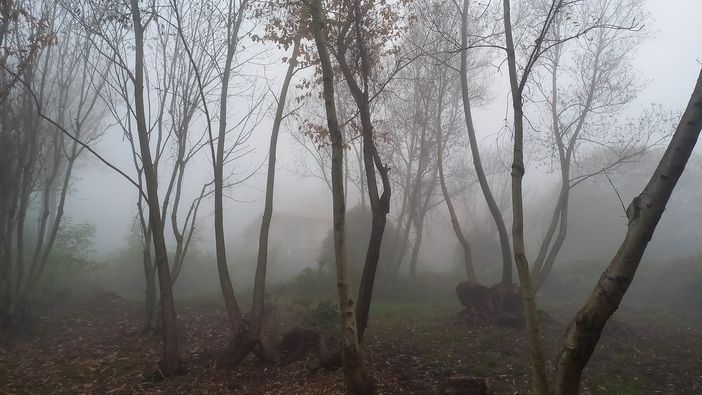 Suggestione (ph. M. Carlesso)