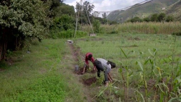 Valais réclame une assurance récolte agricole