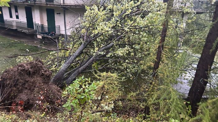 Noël-surprises à la Bibliothèque Noël-surprises à la Bibliothèque