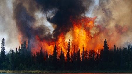 L’artico è in FIAMME, con incendi così grandi che si vedono perfino dallo spazio L’artico è in FIAMME, con incendi così grandi che si vedono perfino dallo spazio