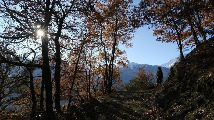 BIMBI INVESTITI: Petizione al sindaco di Aosta sulla sicurezza in corso Lancieri/ VEDI VIDEONOTIZIA