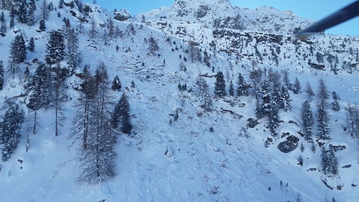 Dal sondaggio degli alberi lo studio estivo delle valanghe