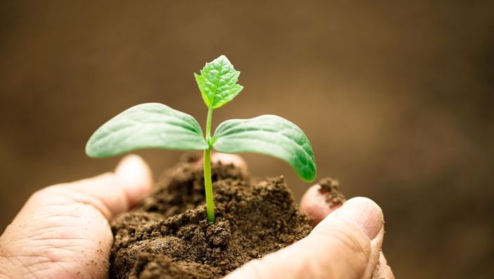 Contributi a fondo perso per la competitività delle aziende agricole ordinarie