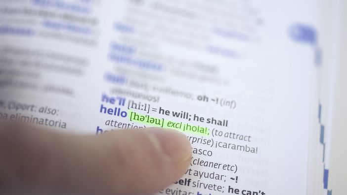 Cosa si intende per traduzione professionale?