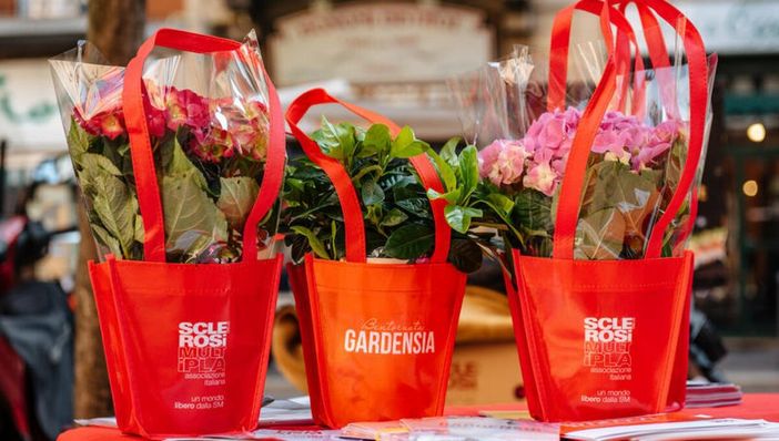 Bentornata Gardensia, un fiore per la ricerca e per la speranza