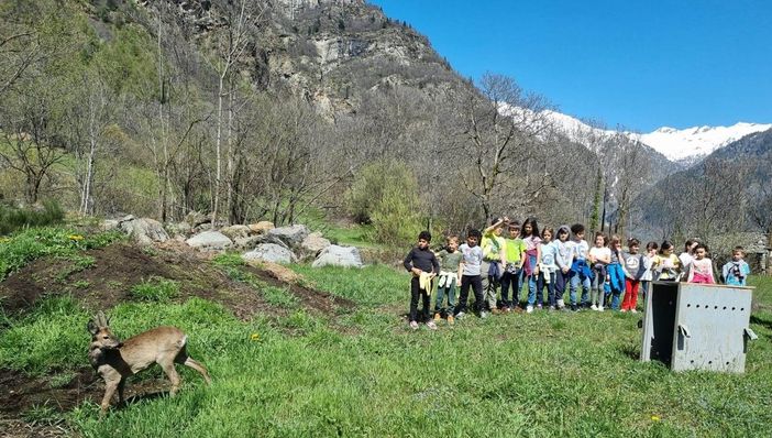 Il momento della liberazione Il momento della liberazione