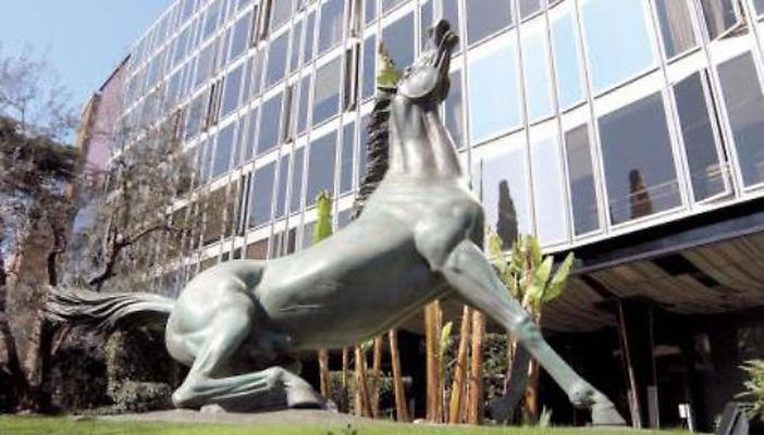 RAI: 50 posti per diplomati e laureati