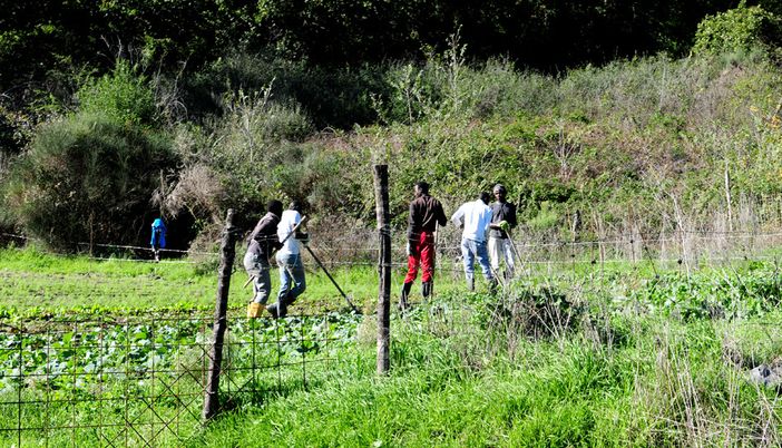 Fattoria sociale 8foto repertorio) Fattoria sociale 8foto repertorio)
