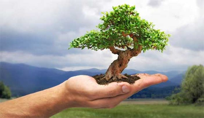 Iniziativa M5S, alberi piantati 'per il futuro' ad Aosta e a Chatillon